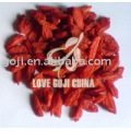 Dried Gobi Berries